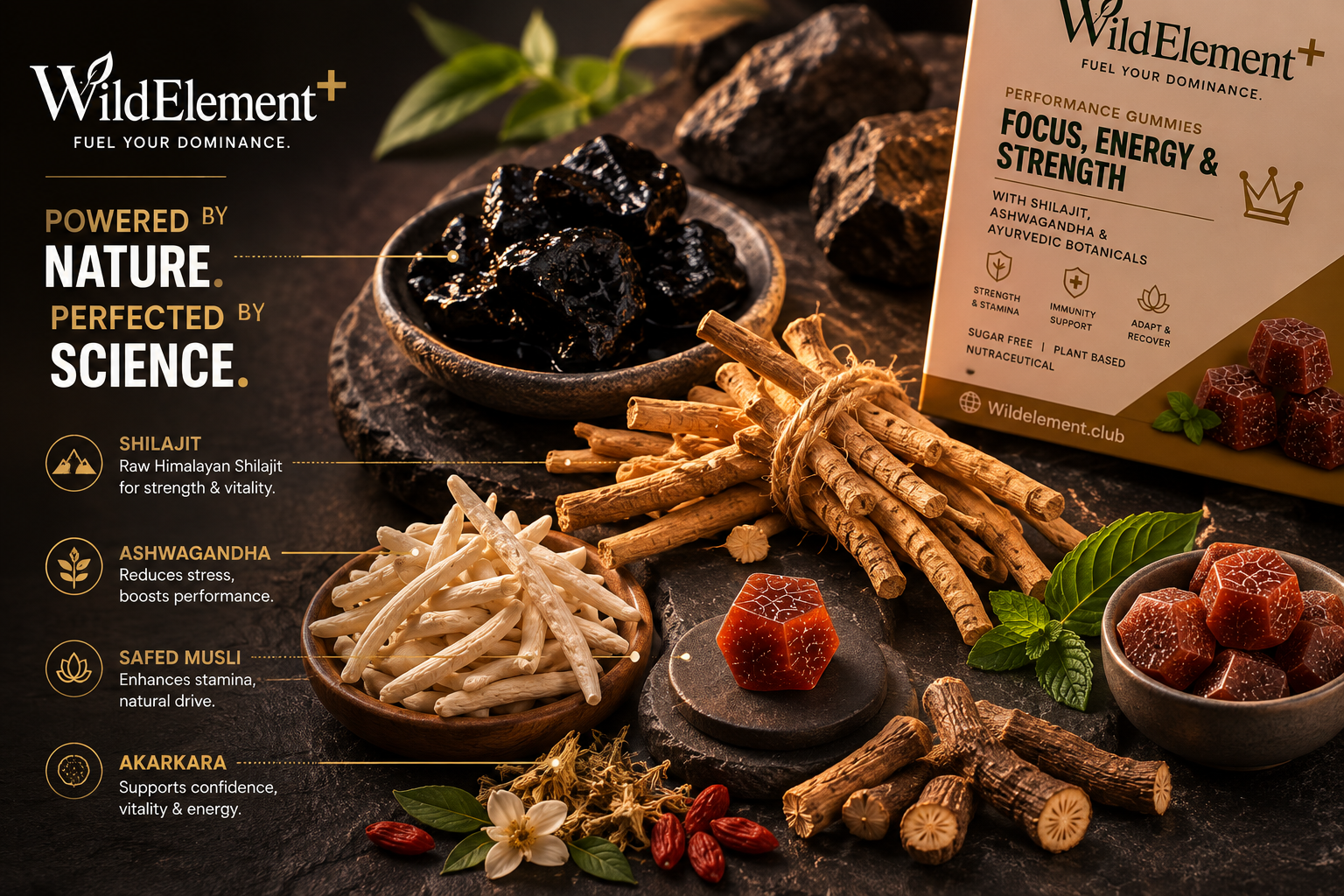 Raw shilajit, ashwagandha, safed musli and botanicals